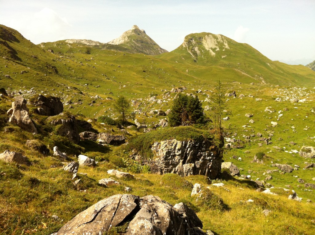 Trees at about 2000 meters. Photo taken (by Phil Nel) while descending towards Refuge Giacomini, Anzeindaz