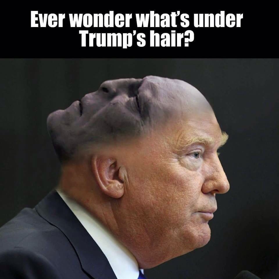 Trump is Voldemort
